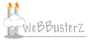 WeBBusterZ Engineering